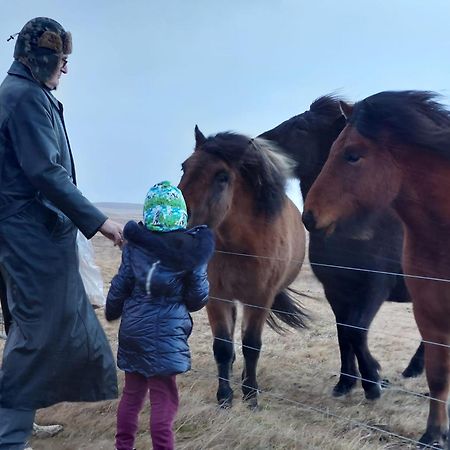 Bikers Paradise Ólafsvík المظهر الخارجي الصورة