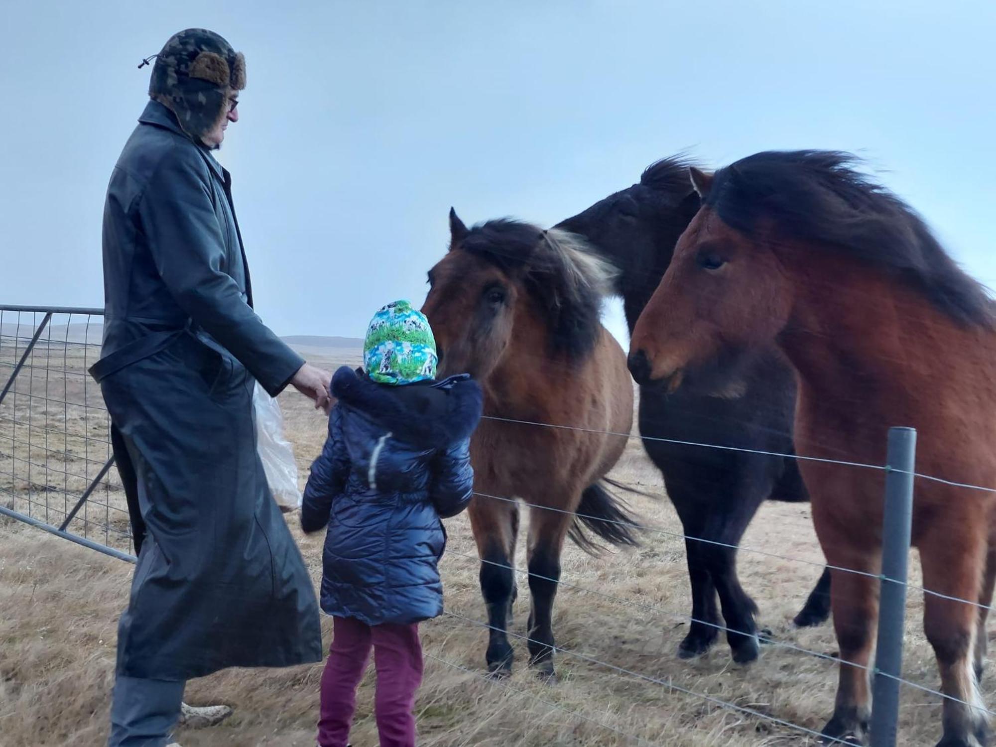 Bikers Paradise Ólafsvík المظهر الخارجي الصورة