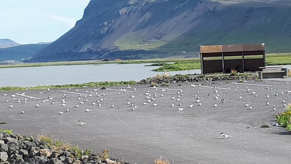 Bikers Paradise Ólafsvík المظهر الخارجي الصورة